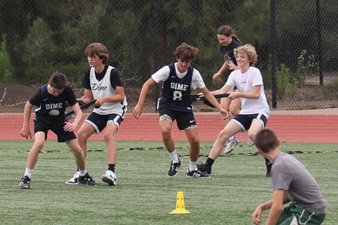 Agility training in Carlsbad
