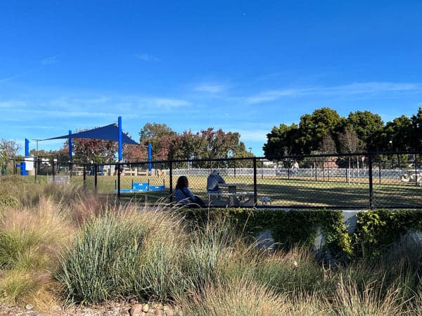 Poinsettia Park dog park in Carlsbad